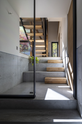 ネコと器と暮らす家