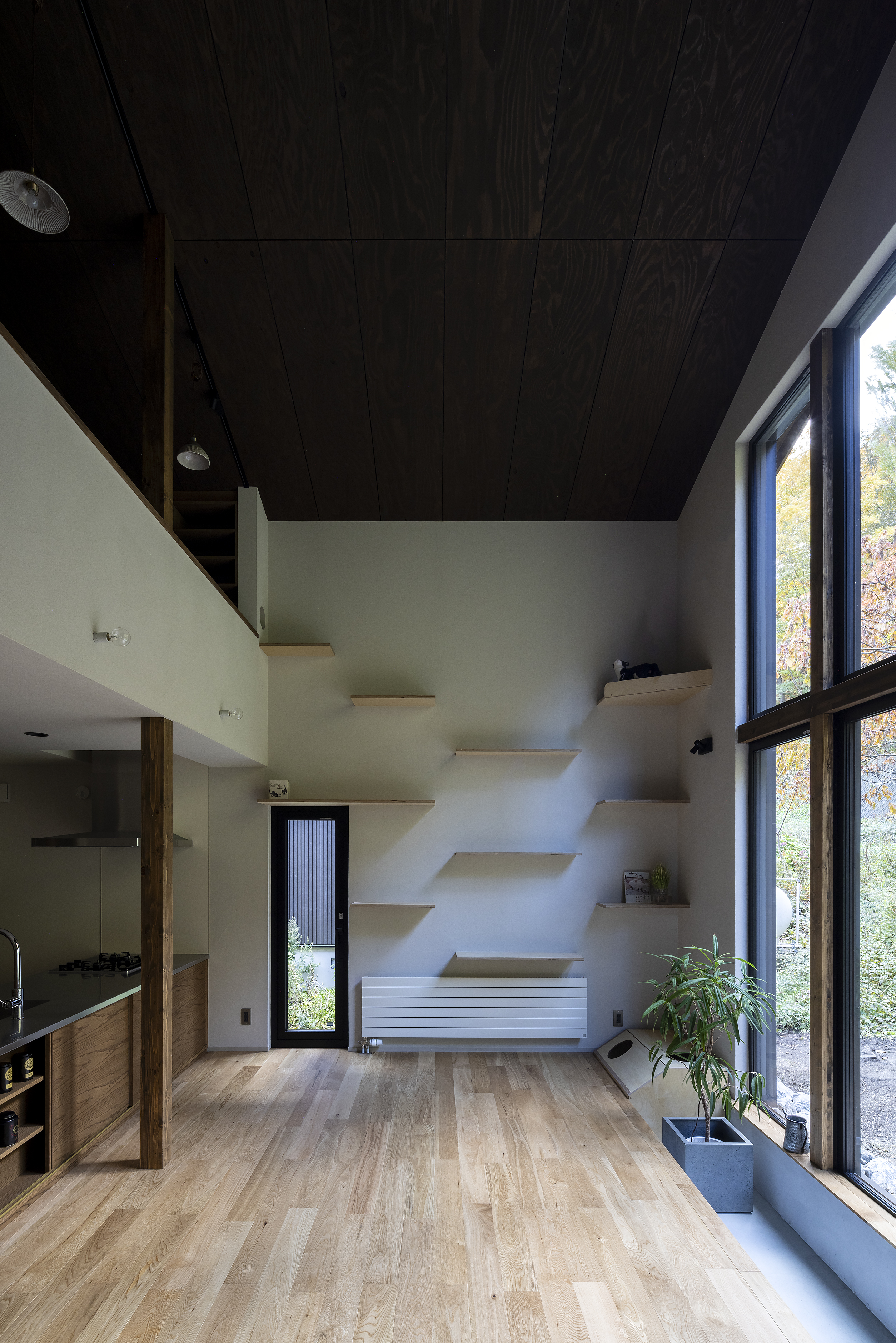 ネコと器と暮らす家