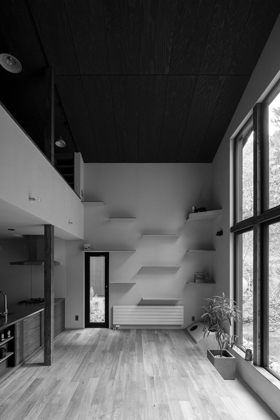 ネコと器と暮らす家