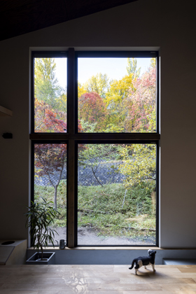 ネコと器と暮らす家