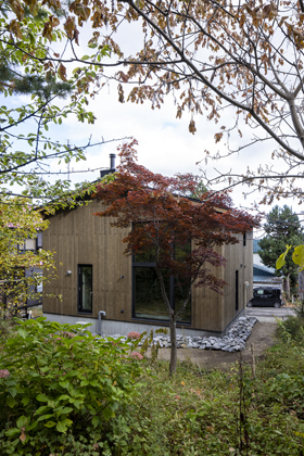 ネコと器と暮らす家